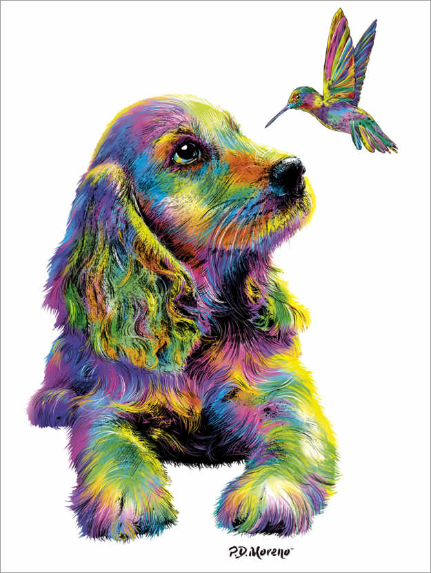 Poster Cocker Spaniel & Hummingbird
