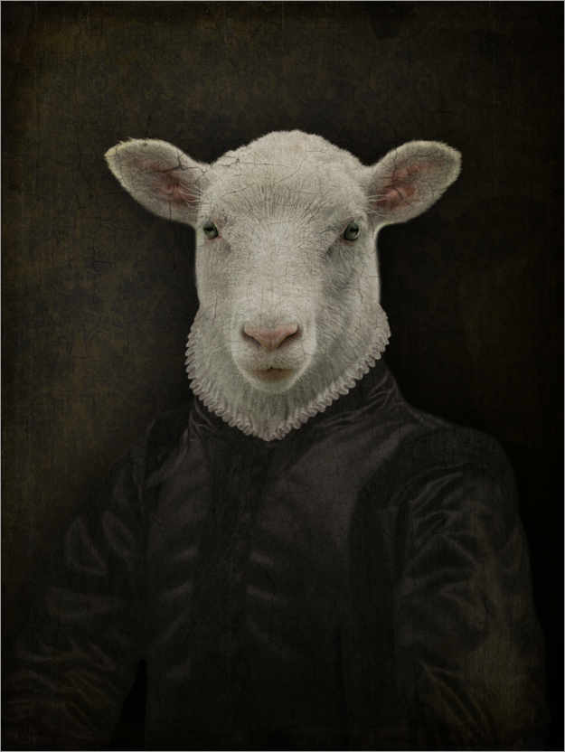 Poster Lord Chesterfield Schaf