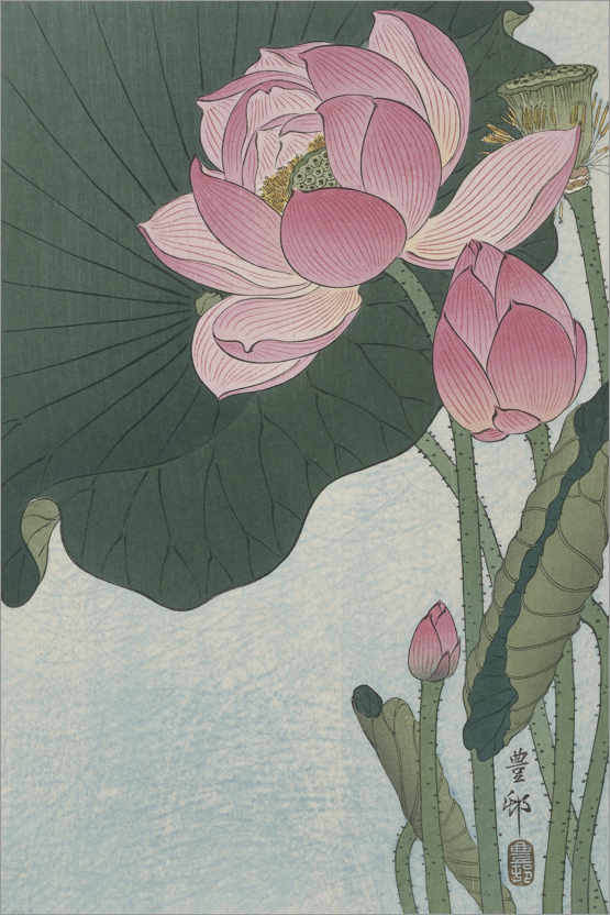 Poster Blühende Lotusblumen, ca. 1920
