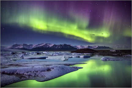 Stampa su tela  Iceland: Aurora Borealis above the glacier lagoon - Sascha Kilmer