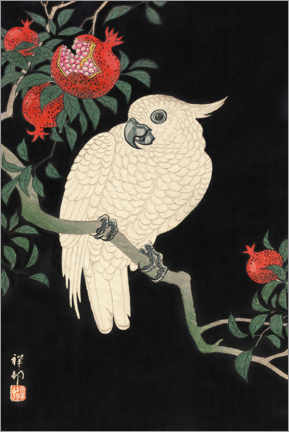 Poster A cockatoo on a pomegranate tree
