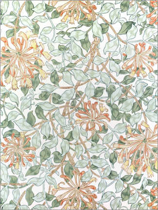 Tableau  Chèvrefeuille II - William Morris