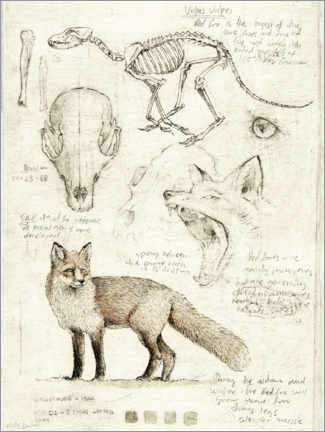 Plakat  Fox - Mike Koubou