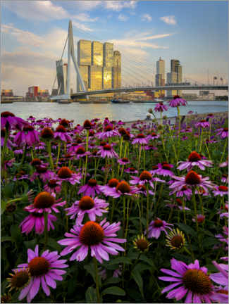 Obra artística  Puente Erasmus en Rotterdam - Jos Pannekoek