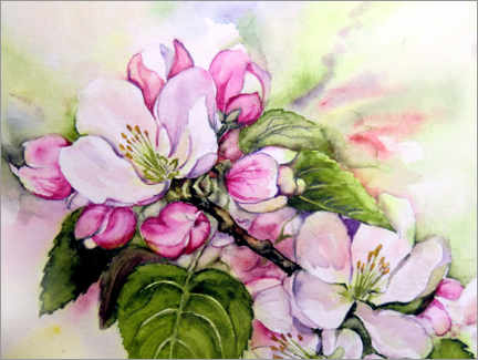 Wandbild  Apfelblüten - Burkhard Posanski