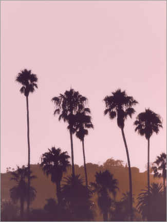 Poster California Dreaming I