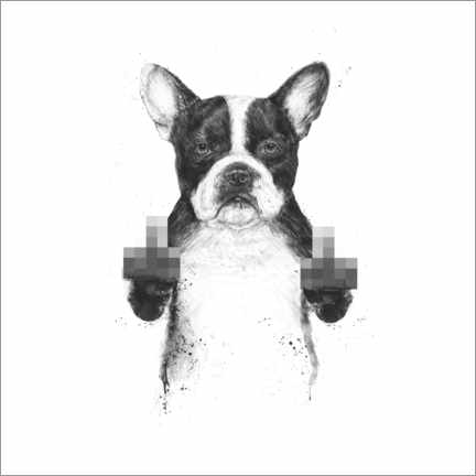 Poster Censored dog