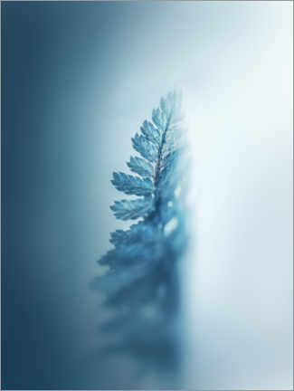 Poster  Blue fern - Lena Steiner