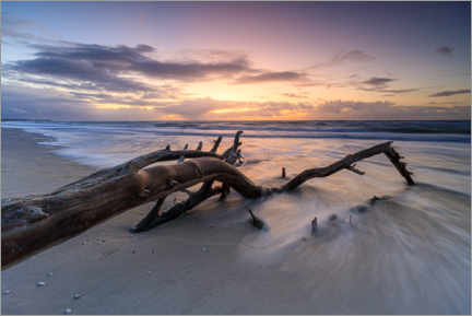 Poster Sunset on the west beach