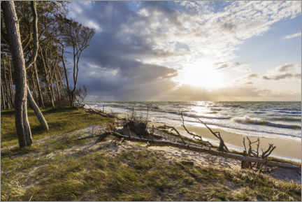 Tableau sur toile Plage ouest de Darß, mer Baltique - Dieterich Fotografie