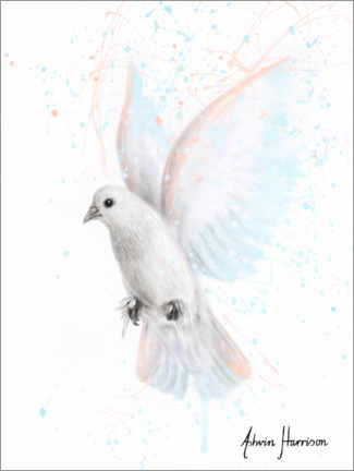 Poster  Peace Dove - Ashvin Harrison