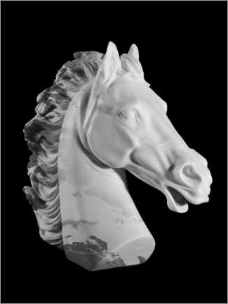 Poster Horse bust II