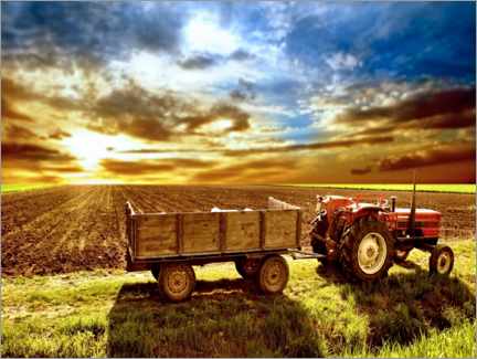 Canvas print  Tractor in the evening sun - Jörg Gamroth