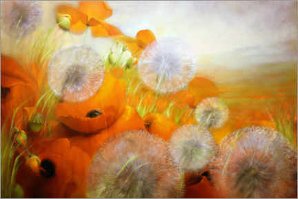 Poster Poppy meadow with dandelions
