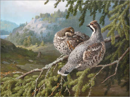 Wandbild  Haselhühner im Wald - Ferdinand von Wright