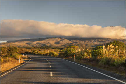 Poster Strada nel parco nazionale di Tongariro