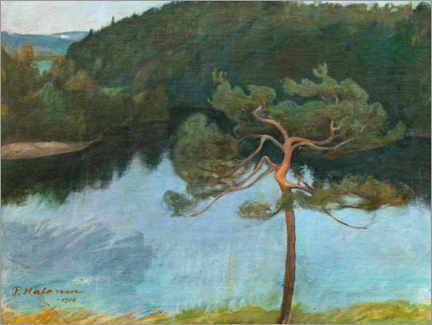 Plakat Pine tree by the shore