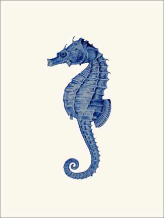 Plakat Navy blue seahorse