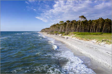 Póster Playa del mar Báltico en el Darss