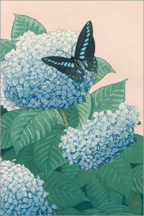 Poster Hortensie und Schmetterling