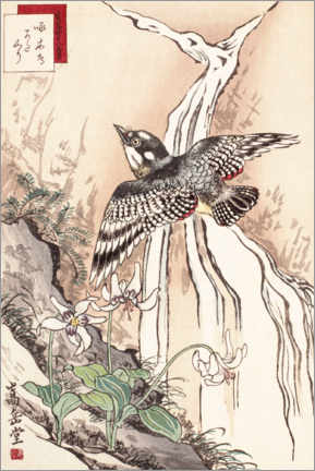 Wall print  Woodpecker and violet - Nakayama Sugakudo