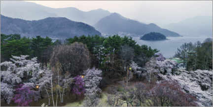 Obra artística  Primavera en Fuji Hakone - André Wandrei