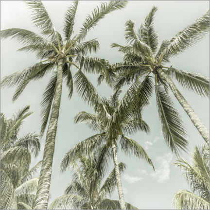 Taulu  Palm sky - Melanie Viola