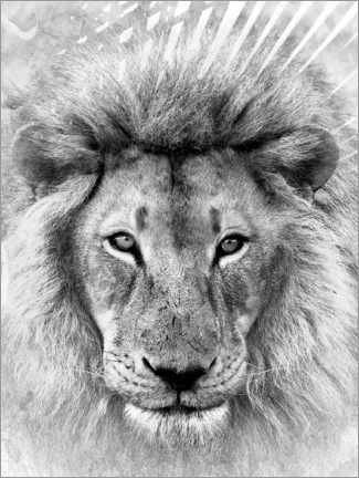 Wall print  Simba - Linnea Frank
