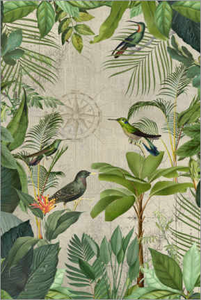 Póster Viaje tropical de las aves