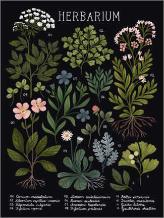 Lærredsbillede  Herbarium, black - Kaja Kajfez