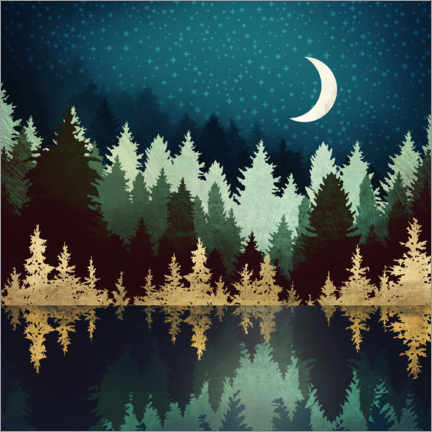 Póster Lago del bosque bajo el cielo estrellado