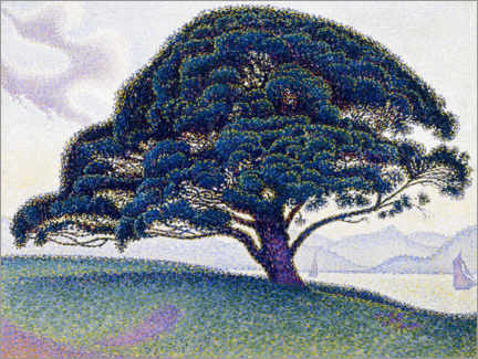 Obra artística El pino de buenaventura - Paul Signac