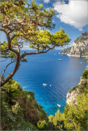 Plakat Błękitne morze na Capri