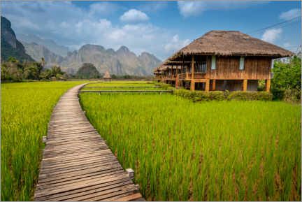 Tableau  Champ de riz au Laos - Julian Peters