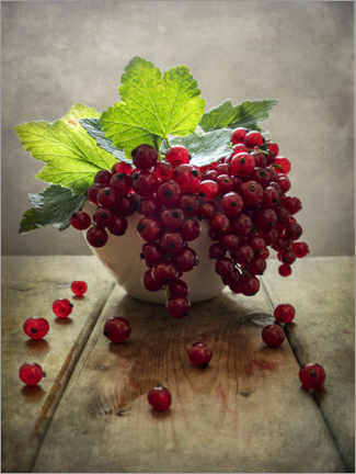 Poster Still life with red currants in a white pot