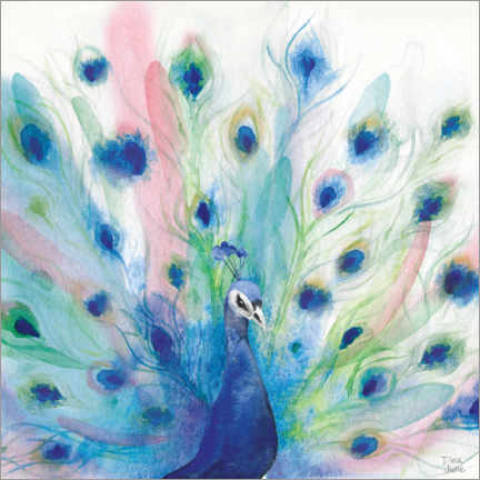 Akrylglastavla  Peacock Glory IV - Dina June