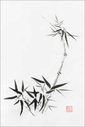 Poster Bamboo stem with young leaves