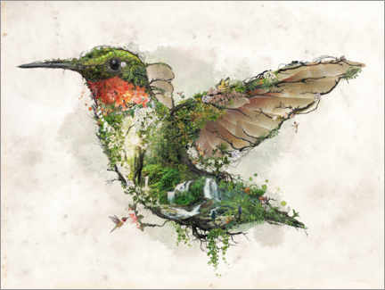 Canvas-taulu  Hummingbird - Barrett Biggers