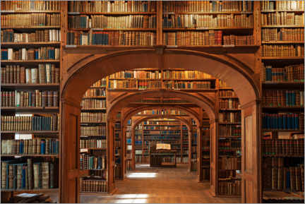 Obraz  Upper Lusatian Library of Sciences - Helmut Meyer zur Capellen