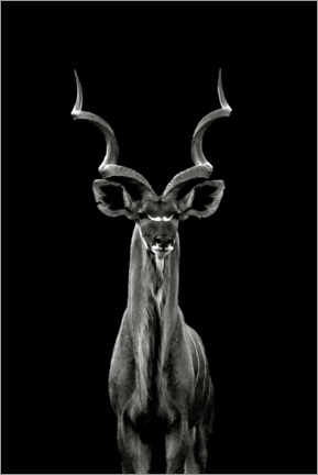 Obra artística  Gran kudu - Hannes Bertsch