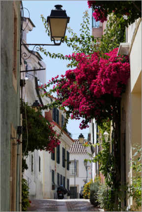Wall print  Small alley with blooming red bougainvillea - Alexander Pöschel