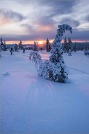 Póster Espectacular puesta de sol en el paisaje invernal