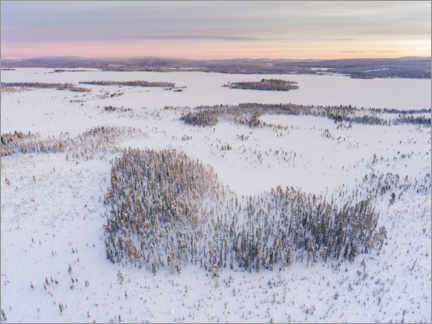 Poster Forêt en forme de coeur dans le paysage d'hiver
