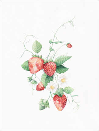 Poster Erdbeeren