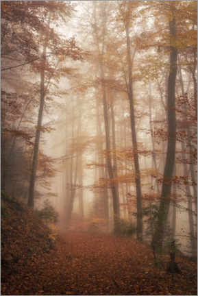 Poster Herbstwald