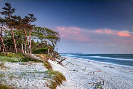 Poster Atmosfera serale sulla spiaggia occidentale del Darß