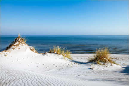Póster Paisaje de dunas en la costa báltica