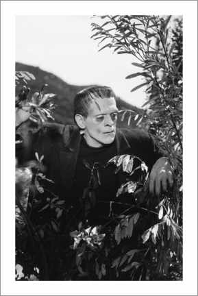 Canvas print Frankenstein - Vintage shoot III