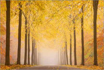 Plakat Road in autumn