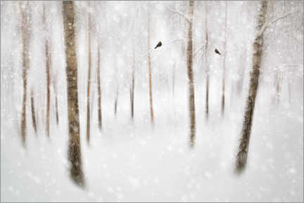 Poster Winter-Birken